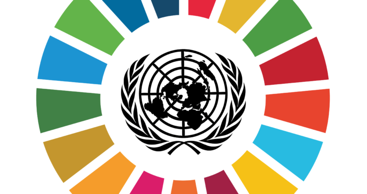 FN verdensmål